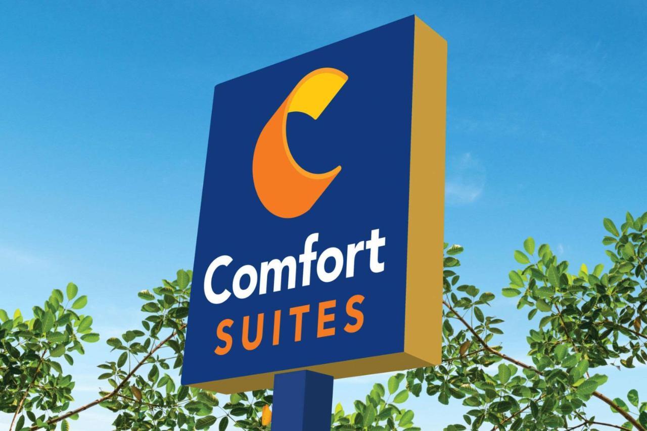 ניונאן Comfort Suites מראה חיצוני תמונה