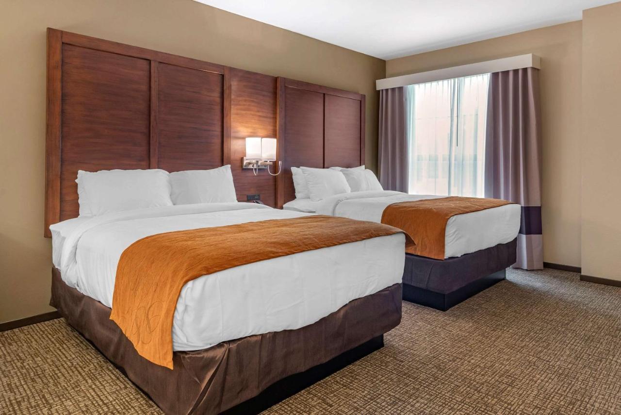 ניונאן Comfort Suites מראה חיצוני תמונה